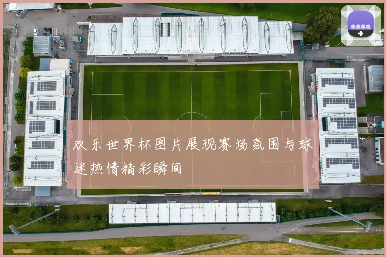 欢乐世界杯图片展现赛场氛围与球迷热情精彩瞬间
