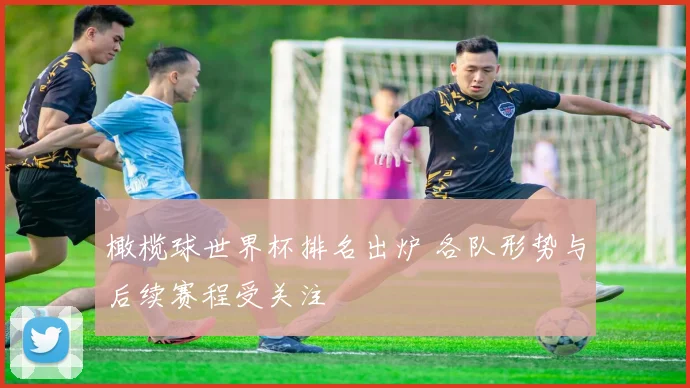 橄榄球世界杯排名出炉 各队形势与后续赛程受关注
